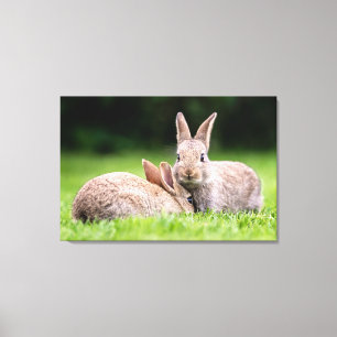 Cutest Baby Animals   Wild Bunny Rabbits Canvas Print