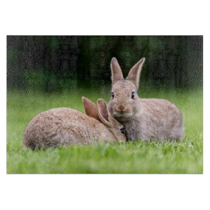 Cutest Baby Animals Wild Bunny Rabbits Cutting Board