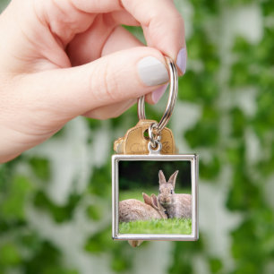 Cutest Baby Animals   Wild Bunny Rabbits Key Ring