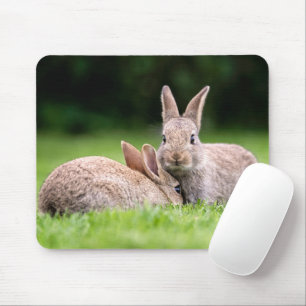 Cutest Baby Animals Wild Bunny Rabbits Mouse Pad