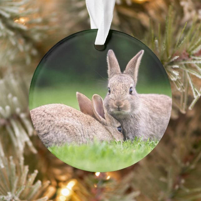 Cutest Baby Animals | Wild Bunny Rabbits Ornament (Tree)