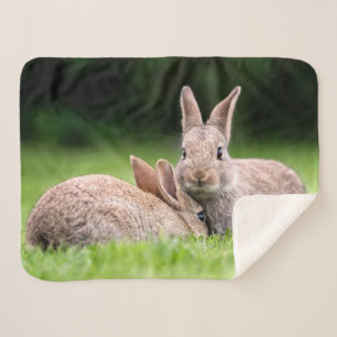 Cutest Baby Animals Wild Bunny Rabbits Sherpa Blanket