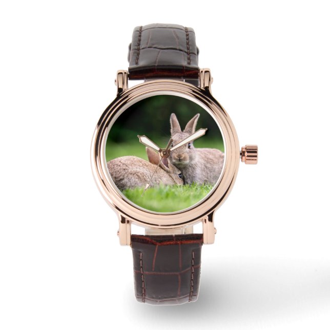 Cutest Baby Animals | Wild Bunny Rabbits Watch (Front)
