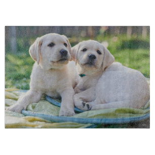 Cutest Baby Animals   Yellow Labrador Retrievers Cutting Board