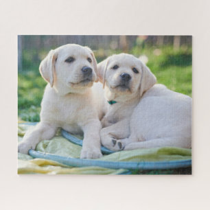 Cutest Baby Animals   Yellow Labrador Retrievers Jigsaw Puzzle
