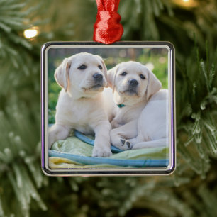 Cutest Baby Animals Yellow Labrador Retrievers Metal Ornament