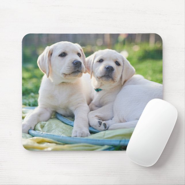 Cutest Baby Animals | Yellow Labrador Retrievers Mouse Pad (With Mouse)