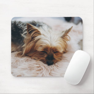 Cutest Baby Animals   Yorkshire Terrier Mouse Pad