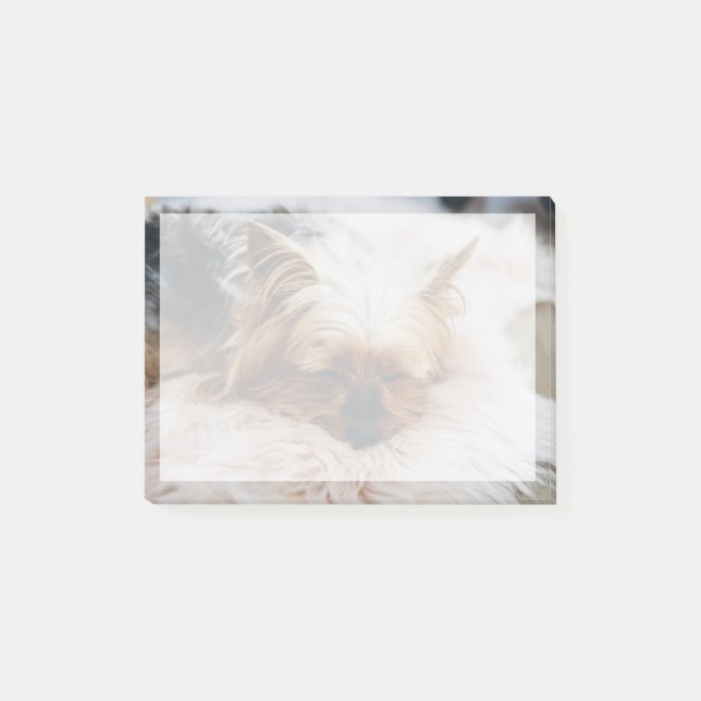 Cutest Baby Animals | Yorkshire Terrier Post-it Notes (Front)