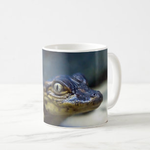 Cutest Baby Animals   Young Alligator Coffee Mug