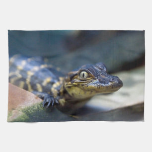 Cutest Baby Animals Young Alligator Tea Towel