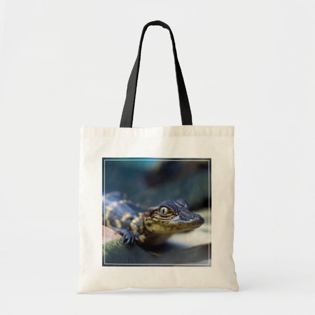 Cutest Baby Animals | Young Alligator Tote Bag (Front)