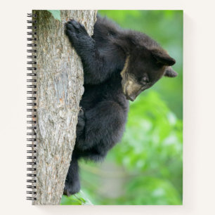 Cutest Baby Animals Young Black Bear Cub Notebook