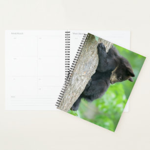 Cutest Baby Animals   Young Black Bear Cub Planner