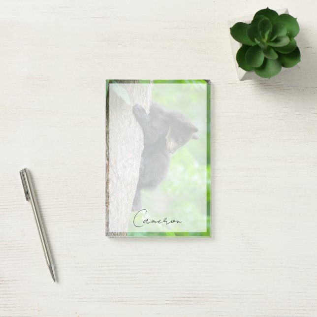 Cutest Baby Animals | Young Black Bear Cub Post-it Notes (Office)