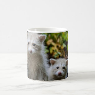 Cutest Baby Animals Young Blonde Raccoons Coffee Mug