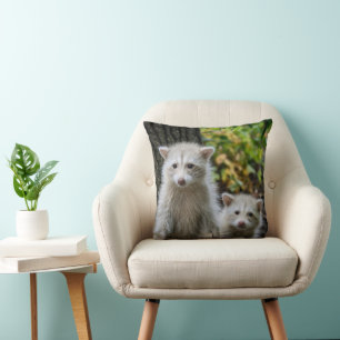 Cutest Baby Animals   Young Blonde Raccoons Cushion