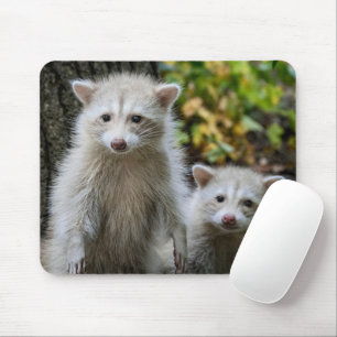 Cutest Baby Animals Young Blonde Raccoons Mouse Pad