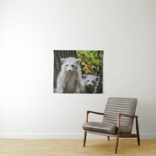 Cutest Baby Animals Young Blonde Raccoons Tapestry