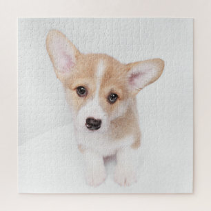 Cutest Baby Animals Young Corgi Puppy Jigsaw Puzzle