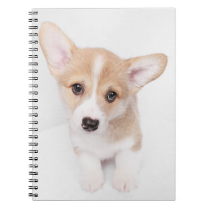 Cutest Baby Animals   Young Corgi Puppy Notebook