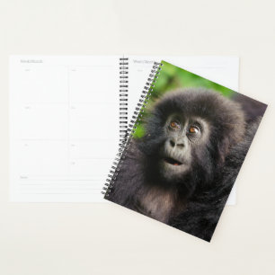 Cutest Baby Animals   Young Mountain Gorilla Planner