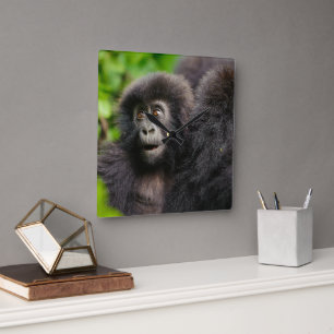 Cutest Baby Animals   Young Mountain Gorilla Square Wall Clock