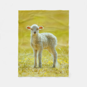 Cutest Baby Animals Young Sheep Fleece Blanket