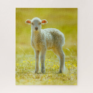 Cutest Baby Animals   Young Sheep Jigsaw Puzzle