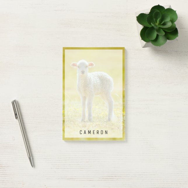 Cutest Baby Animals | Young Sheep Post-it Notes (Office)