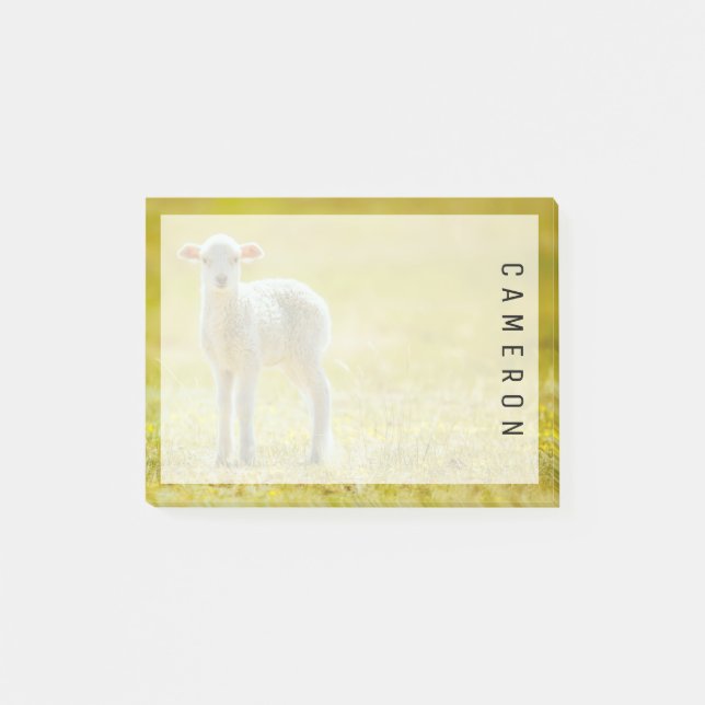 Cutest Baby Animals | Young Sheep Post-it Notes (Front)