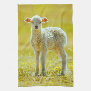 Cutest Baby Animals   Young Sheep Tea Towel