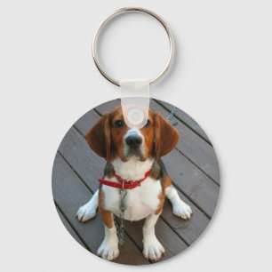 Cutest Beagle Dog Ever Key Ring