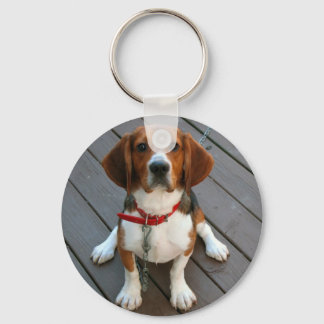 Cutest Beagle Dog Ever Key Ring
