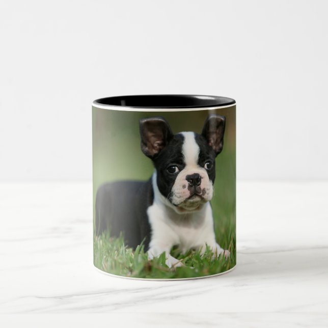 Cutest Boston Terrier photo mug (Center)