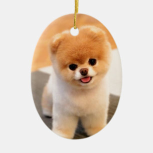 Cutest Dog in the world Ceramic Tree Decoration