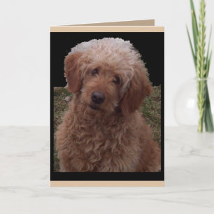 Cutest Dog in the World saying I Miss You Card