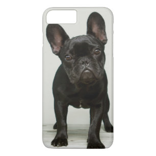 Cutest French Bulldog Puppy iPhone 8 Plus/7 Plus Case