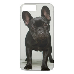 Cutest French Bulldog Puppy Case-Mate iPhone Case