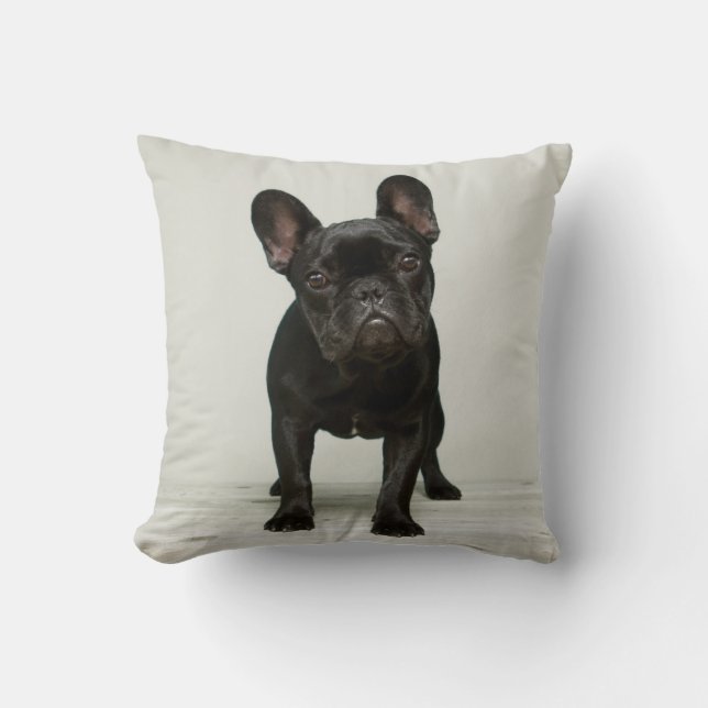 Cutest French Bulldog Puppy Cushion (Front)
