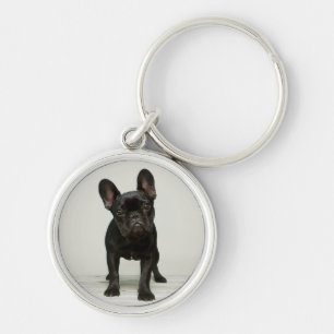 Cutest French Bulldog Puppy Key Ring