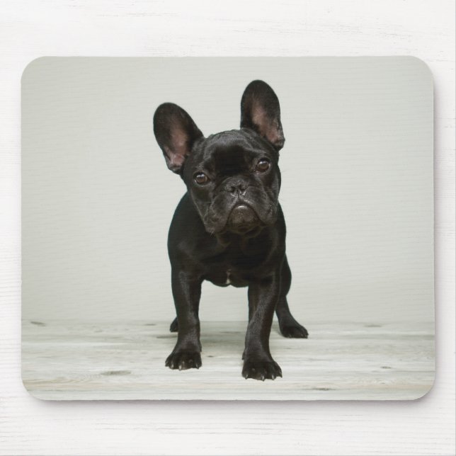 Cutest French Bulldog Puppy Mouse Pad (Front)