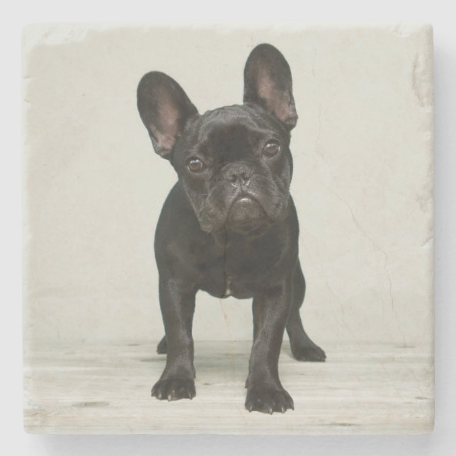 Cutest French Bulldog Puppy Stone Coaster (Front)