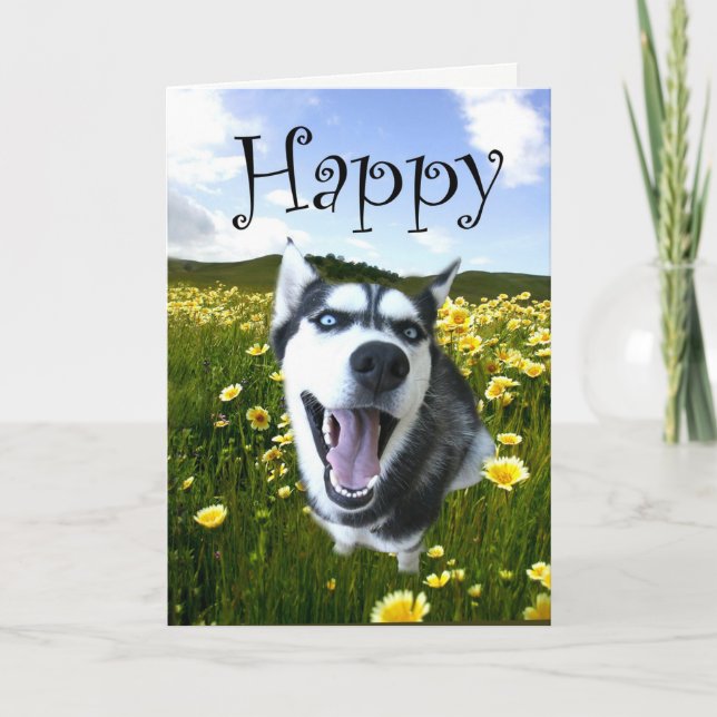 Cutest Husky Dog Happy Birthday Card (Front)