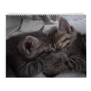 Cutest Kittens Calendar
