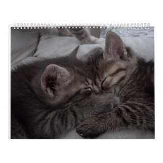 Cutest Kittens Calendar