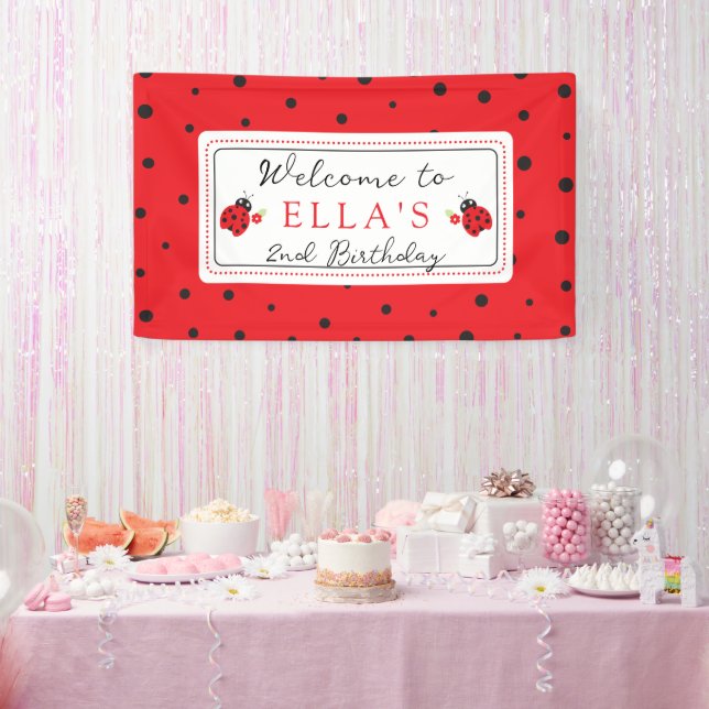 Cutest Little Ladybug Kids Birthday Party Banner (Party)