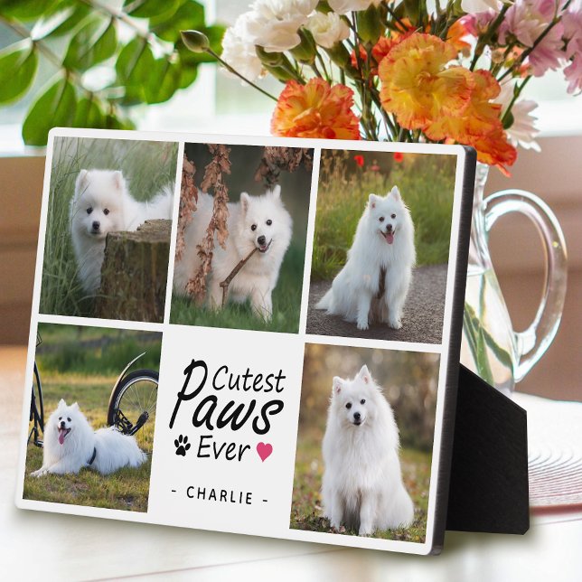 Cutest Paws Ever Modern Cute Pet Dog Photo Collage Plaque (Creator Uploaded)