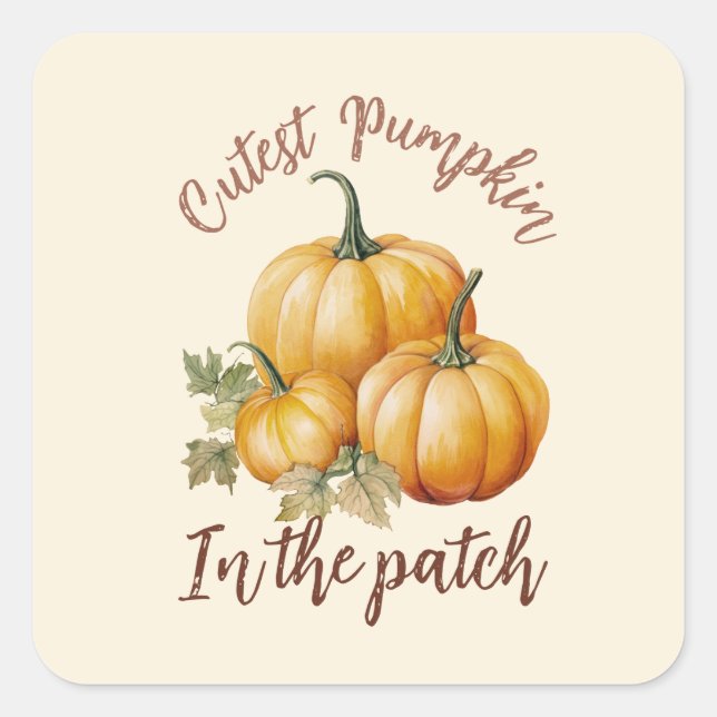 Cutest Pumpkin in the Patch Square Sticker (Front)