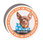 Cutest Pup In the World Dog Pet Photo